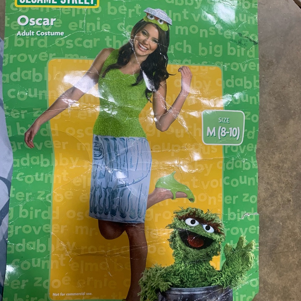 Sesame Street Oscar Costume in Green and Gray